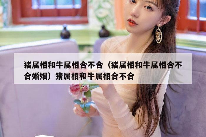 猪属相和牛属相合不合（猪属相和牛属相合不合婚姻）猪属相和牛属相合不合